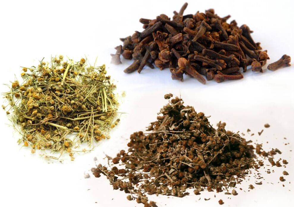 Parazitlerden kurtulmak için pelin, solucan otu ve karanfil
